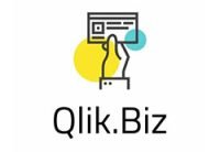 Qlik Biz